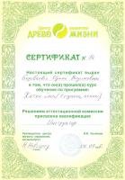 Сертификат преподавателя Боровкова И. .