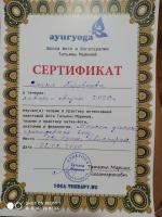 Сертификат преподавателя Боровкова И. .