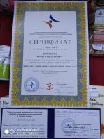Сертификат преподавателя Боровкова И. .