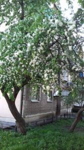 Фотография Экспромт 5
