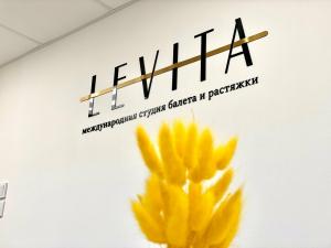 Фотография Levita 1