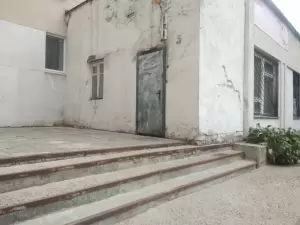 Фотография Фламинго 0