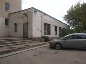 Фотография Фламинго 1