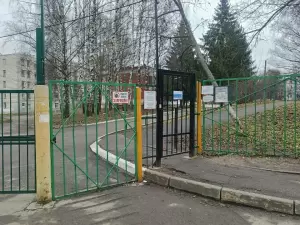 Фотография Реверанс 0