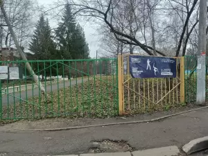 Фотография Реверанс 1