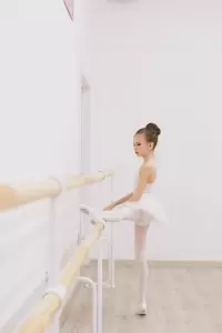 Фотография Русский Балет 0